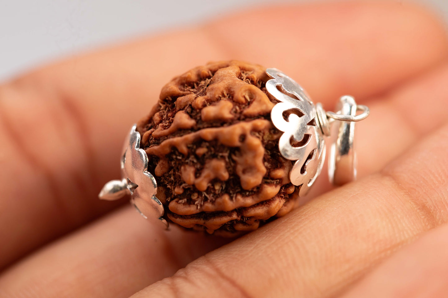 Energised Rudraksh - 5 Mukhi (Round) - Lab Certified