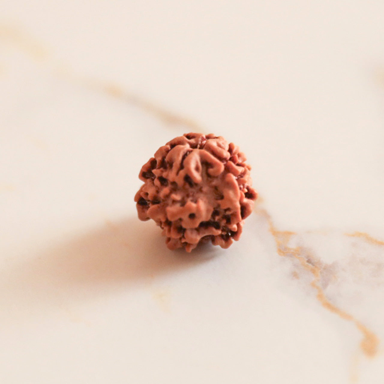 Energised Rudraksh - 1 Mukhi (Round)