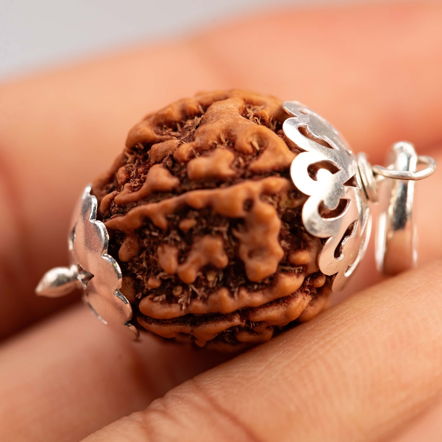 Energised Rudraksh - 5 Mukhi (Round) - Lab Certified