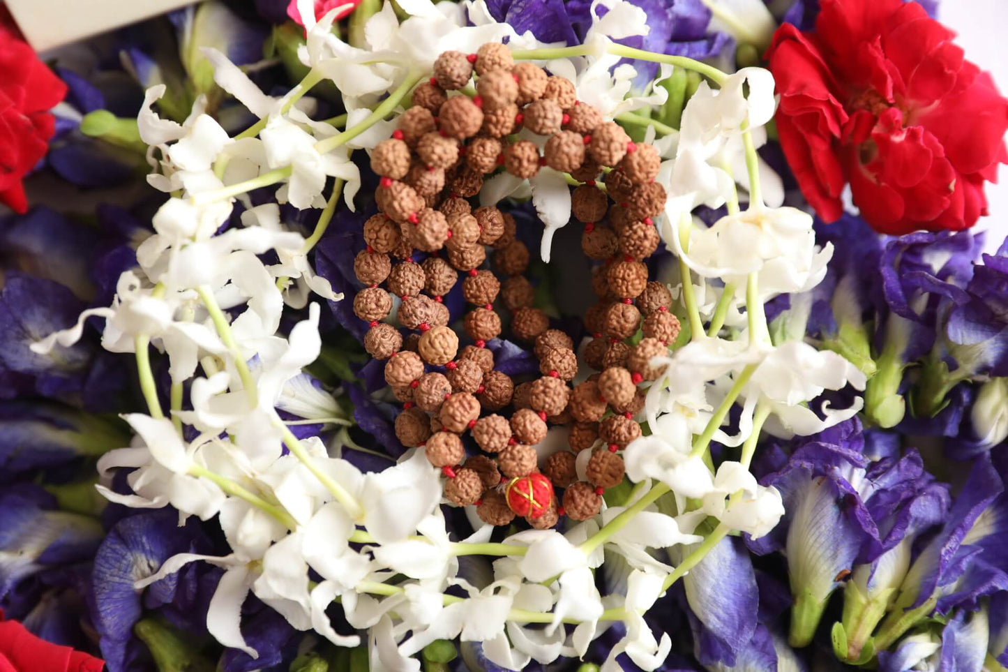 Rudraksha Mala | Pancha Mukhi | Energized with Mantras