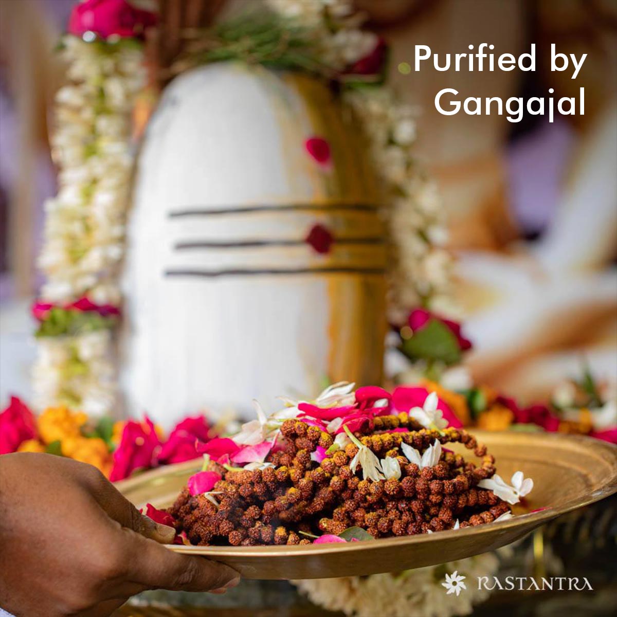 Rudraksha Mala | Pancha Mukhi | Energized with Mantras