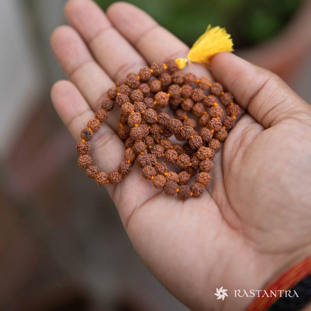 Rudraksha Mala | Pancha Mukhi | Energized with Mantras